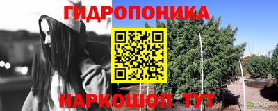соль ск Янаул