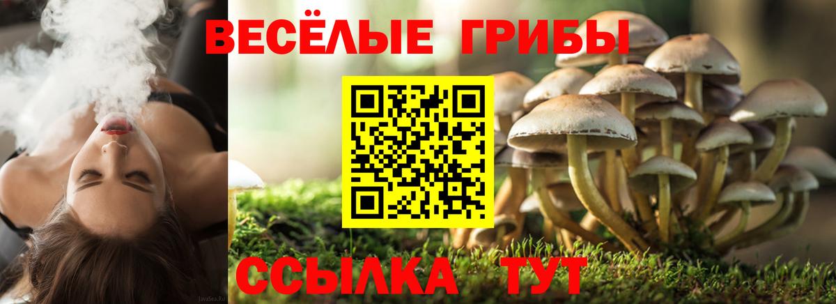Псилоцибиновые грибы MAGIC MUSHROOMS Алексеевка