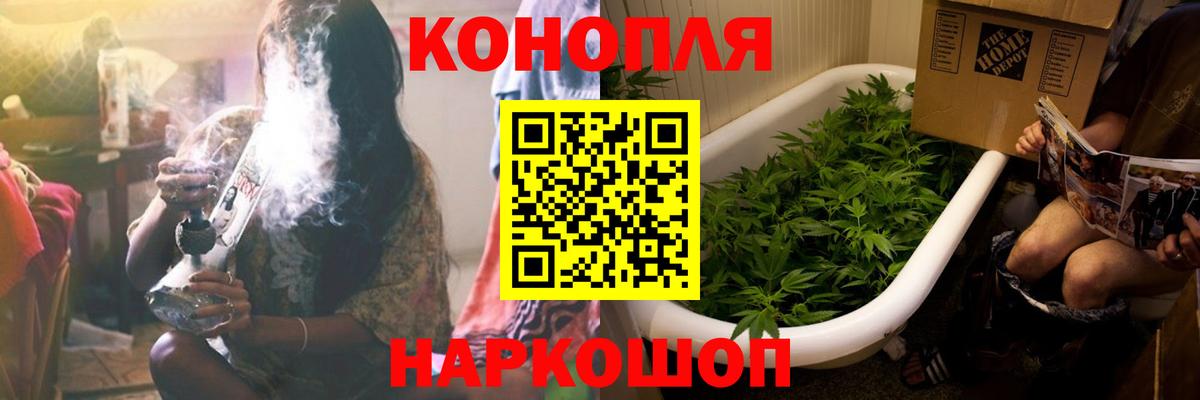 Каннабис семена Алексеевка